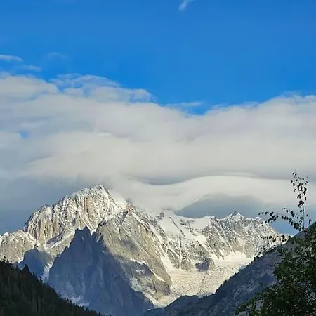 Romantico Chalet Delle Alpi N 0017 아파트 *